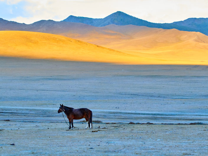 pvk photo montagne doree et cheval en mongolie
